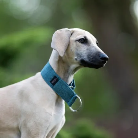 Obroża dla psa Marine Classic 3 cm - wodoodporna, lekka, trwała, regulowana