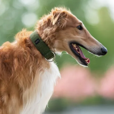 Obroża dla psa Green Classic 4 cm - wodoodporna, lekka, trwała, regulowana
