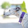 Obroża półzaciskowa ozdobna dla psa Royal Ametysth 5 cm - przepiękna, efektowny żakard, mieniący się w słońcu, bardzo lekka