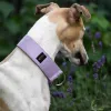 Obroża wodoodporna dla psa Pastel Lavender 3 cm – lekka, trwała, regulowana, stylowa