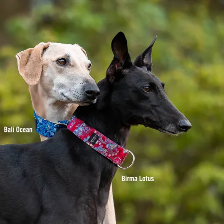 Obroża ozdobna dla psa Birma Lotus 4 cm – czerwona obroża żakardowa z orientalnym wzorem