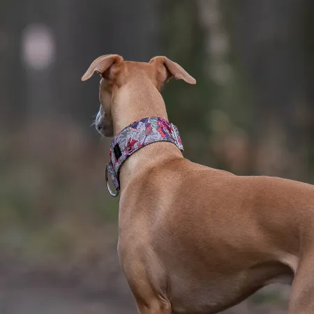 Obroża ozdobna dla psa Palleon 4 cm – luksusowa, stylowa obroża z połyskującymi detalami, lekka i wygodna