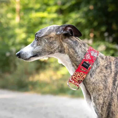Obroża ozdobna dla psa Royal Ruby 3 cm - przepiękna, efektowny żakard, mieniący się w słońcu, bardzo lekka