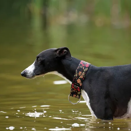 Obroża ozdobna dla psa Cosmos Black 3 cm – ekskluzywna, migocząca obroża żakardowa, lekka i komfortowa
