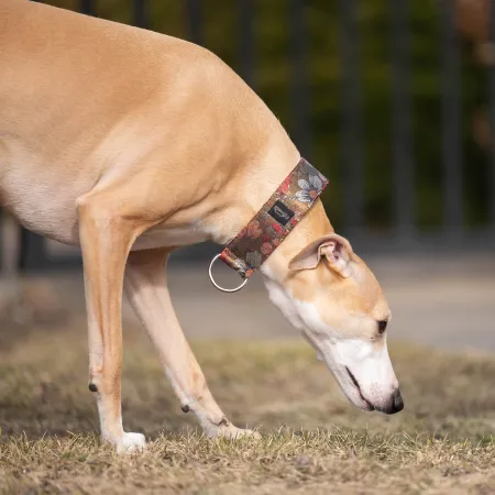 Obroża ozdobna półzaciskowa dla psa Cosmos Brown 5 cm - ekskluzywna, migocząca obroża żakardowa, lekka i komfortowa