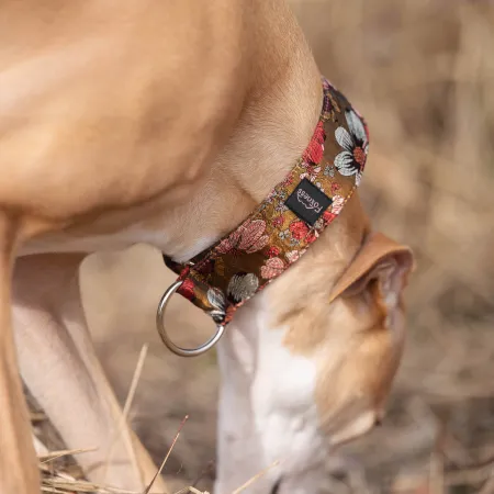 Obroża ozdobna półzaciskowa dla psa Cosmos Brown 5 cm - ekskluzywna, migocząca obroża żakardowa, lekka i komfortowa