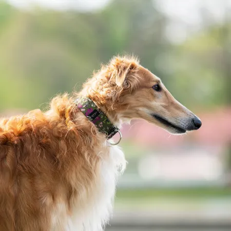 Obroża ozdobna półzaciskowa dla psa Cosmos Green 5 cm - ekskluzywna, migocząca obroża żakardowa, lekka i komfortowa