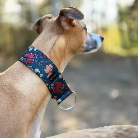 Obroża ozdobna dla psa Cosmos Navy 4 cm – ekskluzywna, migocząca obroża żakardowa, lekka i komfortowa