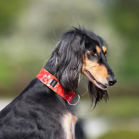 Obroża ozdobna półzaciskowa dla psa Cosmos Red 5 cm - ekskluzywna, migocząca obroża żakardowa, lekka i komfortowa