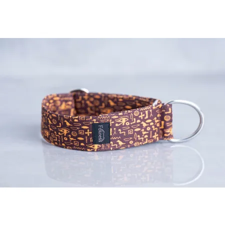 Obroża wodoodporna dla psa Hieroglyphics 4 cm - bardzo lekka, łatwa w pielęgnacji, idealna na spacer w każdą pogodę