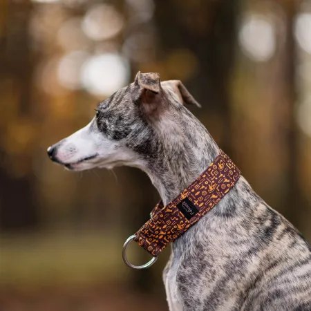 Obroża wodoodporna dla psa Hieroglyphics 4 cm - bardzo lekka, łatwa w pielęgnacji, idealna na spacer w każdą pogodę