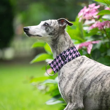 Obroża wodoodporna dla psa Pink Chic 3 cm - trwała, wygodna, idealna na spacery