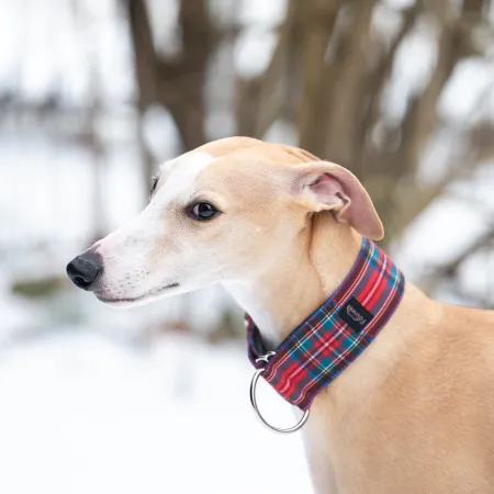 Obroża dla psa Scottish Kilt 4 cm - wodoodporna, lekka, trwała, regulowana
