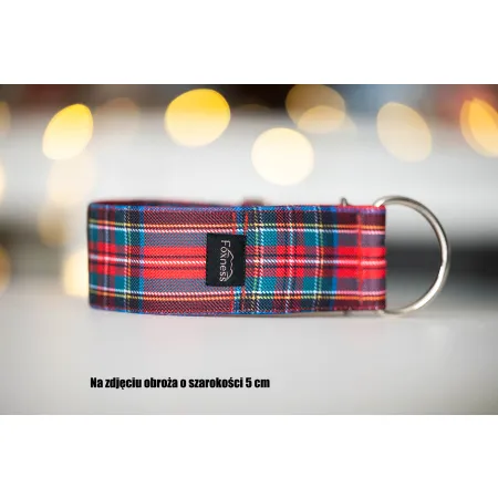 Obroża dla psa Scottish Kilt 4 cm - wodoodporna, lekka, trwała, regulowana