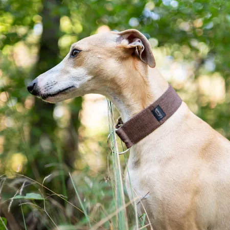 Obroża dla psa Chocolate Classic 4 cm - wodoodporna, lekka, trwała, regulowana