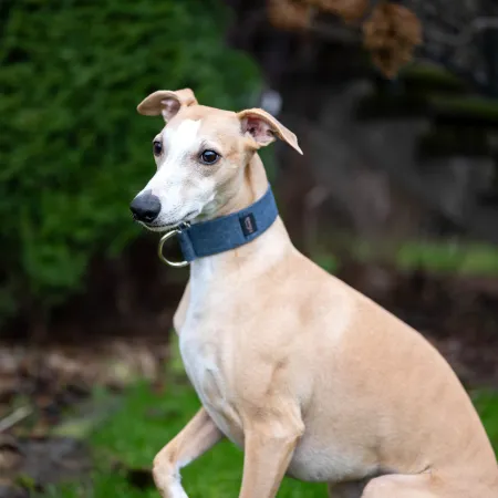 Obroża dla psa Dark Blue Classic 3 cm - wodoodporna, lekka, trwała, regulowana