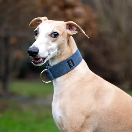 Obroża dla psa Dark Blue Classic 3 cm - wodoodporna, lekka, trwała, regulowana