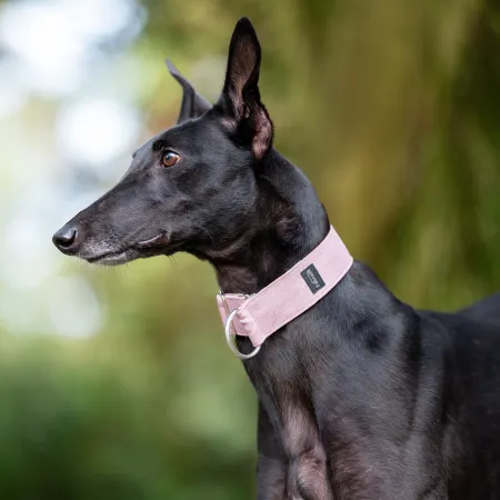 Obroża dla psa Pink Classic 4 cm - wodoodporna, lekka, trwała, regulowana